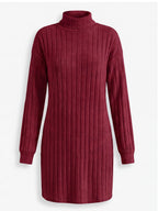 Women’s Ribbed Knit Turtleneck Mini Dress