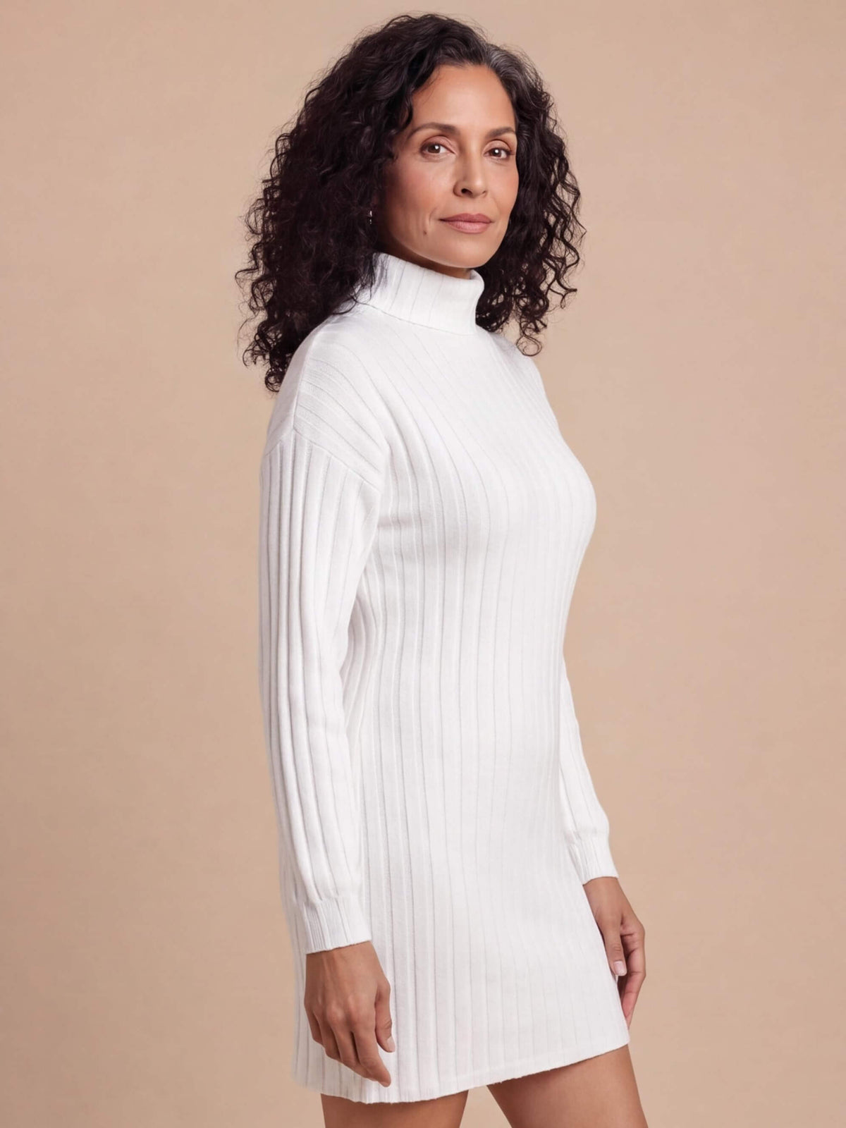 Women’s Ribbed Knit Turtleneck Mini Dress