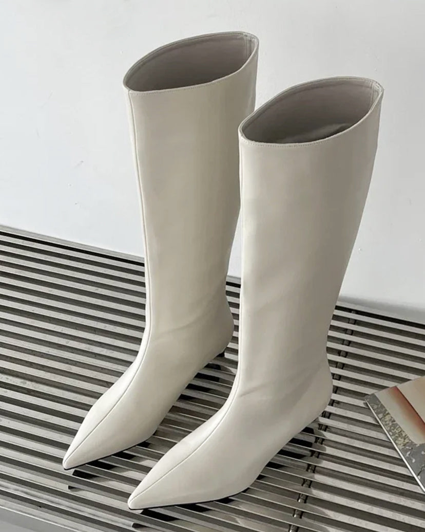 Aria Pointed Toe Knee-High Boots